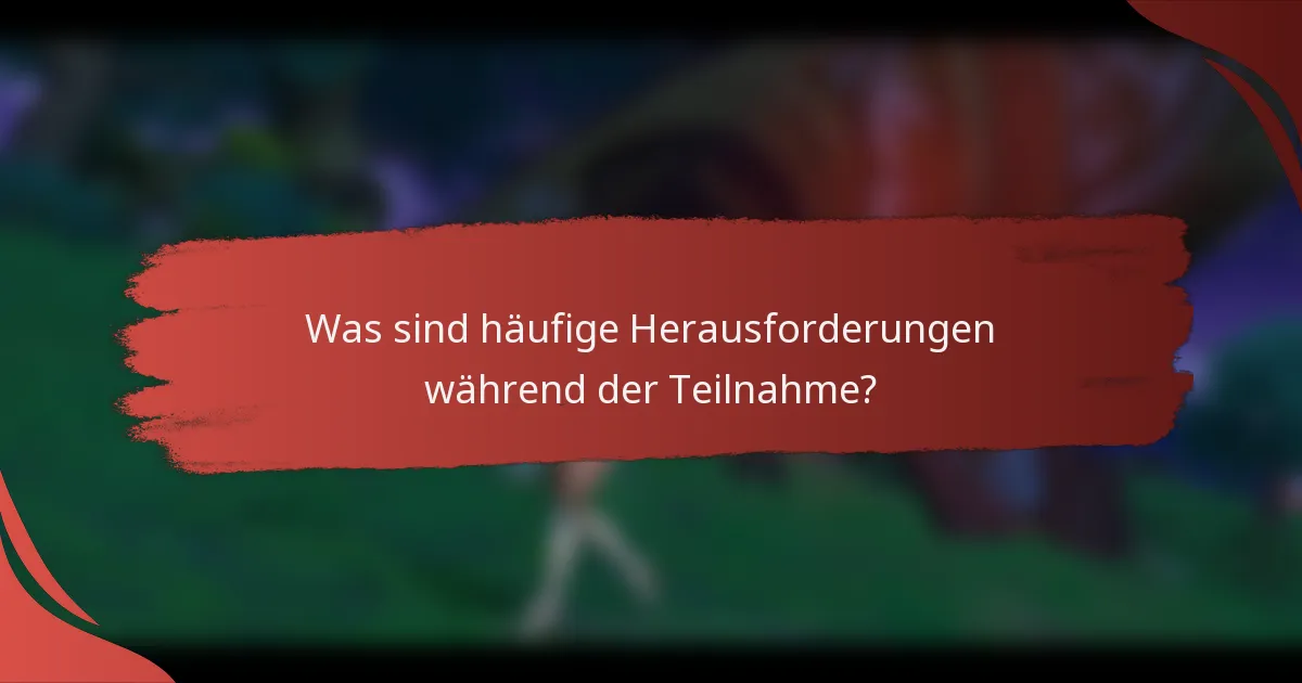 Was sind häufige Herausforderungen während der Teilnahme?