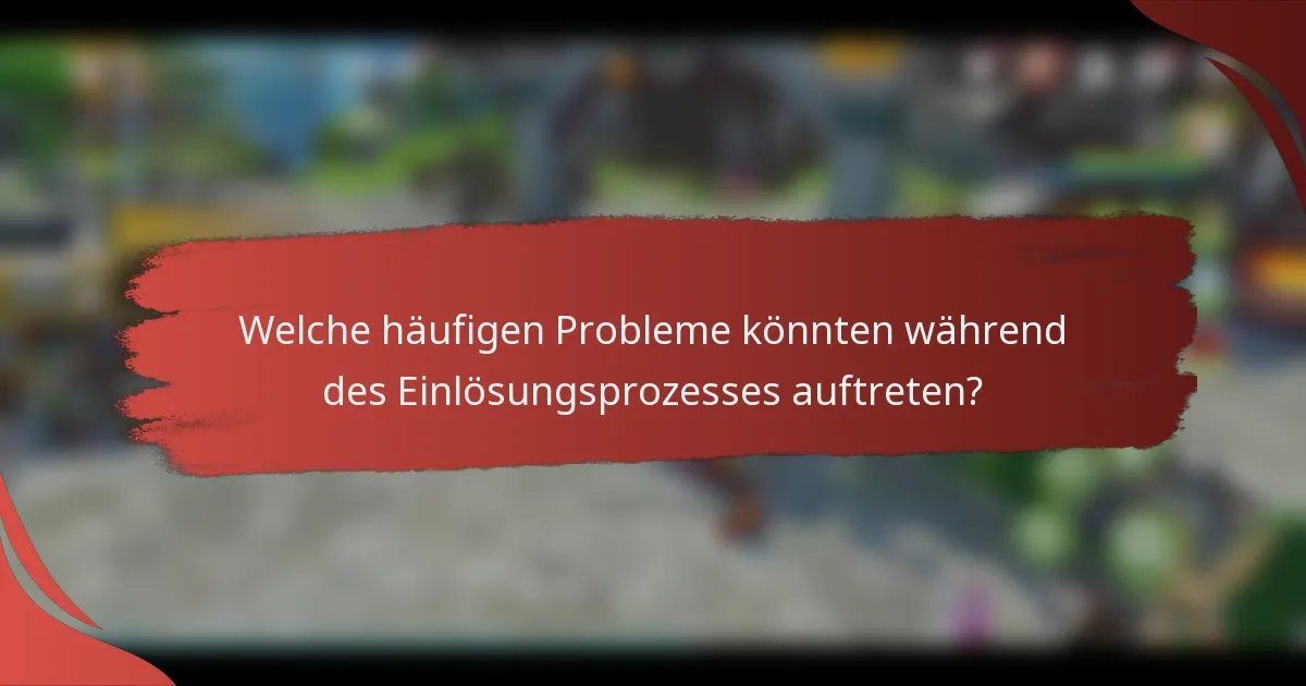 Welche häufigen Probleme könnten während des Einlösungsprozesses auftreten?